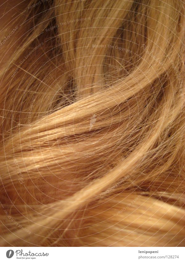 #FFCC66 blond Locken weich lang Wellen Weizen Gesundheit Physik braun feminin glänzend Haarwaschmittel Stil stylen durcheinander Haare & Frisuren Sommer schön