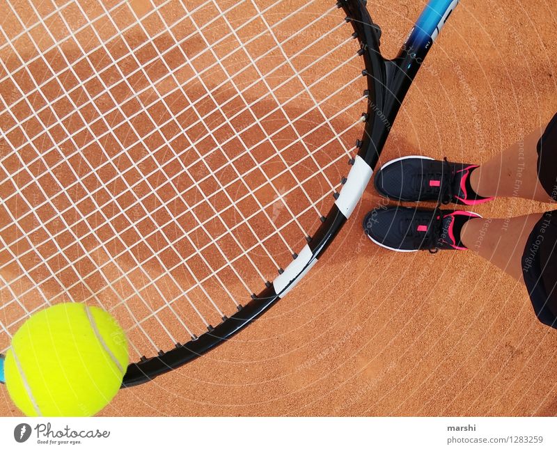 Tennistraining Freizeit & Hobby Spielen Sport Fitness Sport-Training Ballsport Sportler Erfolg Sportstätten Mensch feminin Beine 1 30-45 Jahre Erwachsene