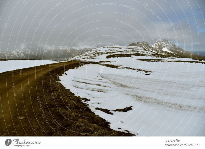 Island Umwelt Natur Landschaft Klima Wetter Eis Frost Berge u. Gebirge Schneebedeckte Gipfel Küste Fjord Menschenleer Verkehrswege Straße Wege & Pfade kalt