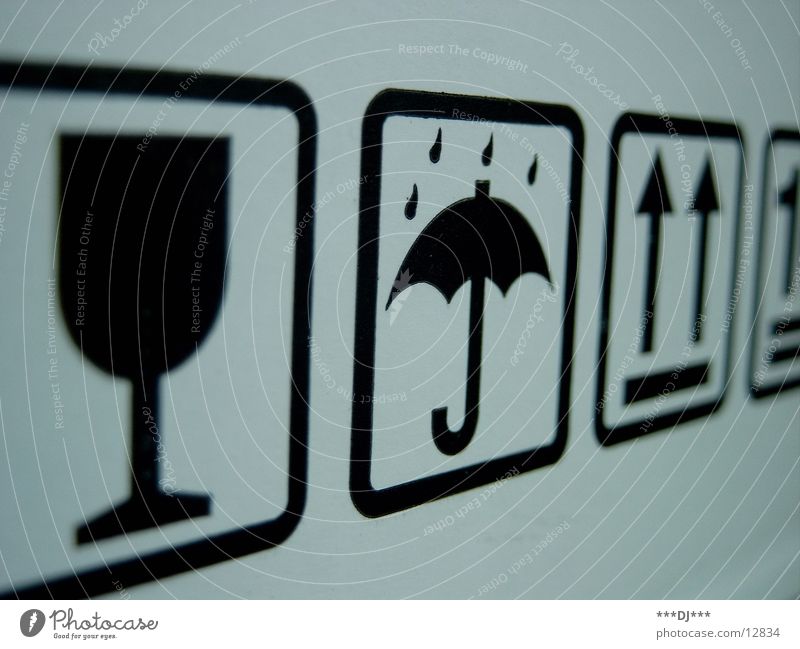 Regenzeichen Regenschirm Makroaufnahme Nahaufnahme Blütenkelch Wassertropfen Pfeil Versand Güterverkehr & Logistik Sicherheit