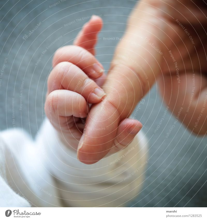 die erste Berührung Mensch Junge Frau Jugendliche Erwachsene Eltern Kindheit Leben Hand Finger 2 0-12 Monate Baby Gefühle Stimmung Freude Glück Sicherheit