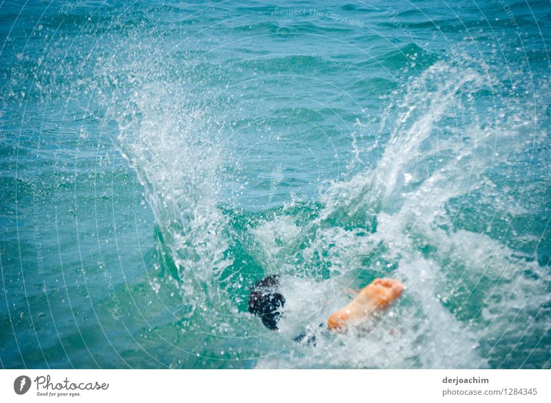 "Sommer"in seiner schönsten Form, Spaß im Pazifik, Kleine Wasserbombe im Meer. sportlich Leben Zufriedenheit Schwimmen & Baden Wassersport Junger Mann