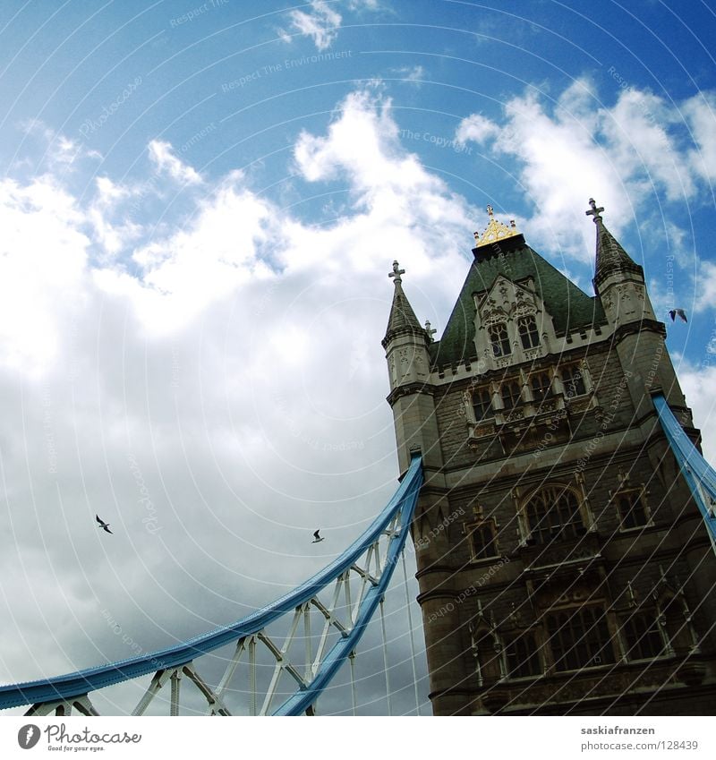 London Calling. England Großbritannien Tower Bridge Wahrzeichen Zugbrücke Vogel Wolken schlechtes Wetter Ferien & Urlaub & Reisen Macht Brücke Turm Himmel Sonne
