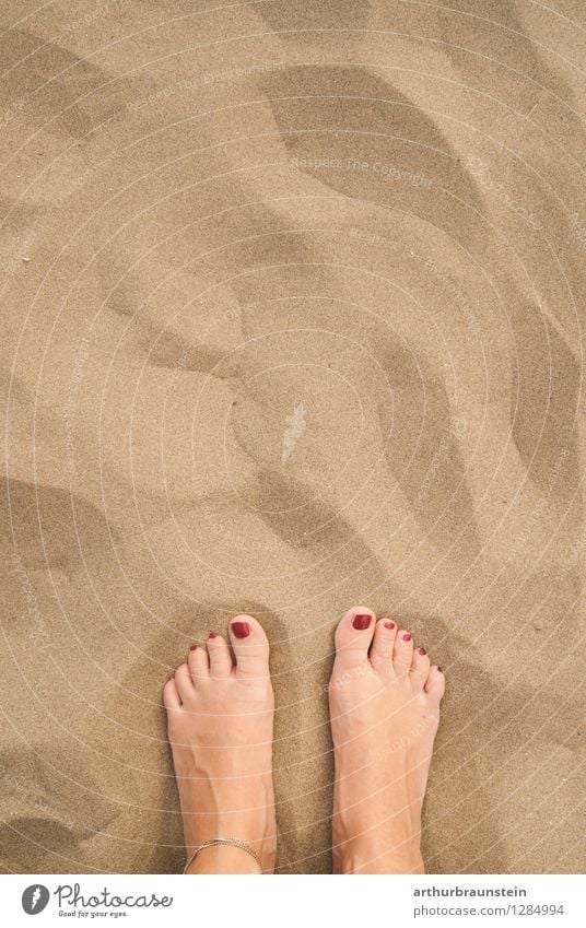 Füße im Sandstrand Pediküre Erholung Ferien & Urlaub & Reisen Tourismus Sommer Sommerurlaub Sonne Strand Meer Insel Wassersport Bademeister Mensch feminin