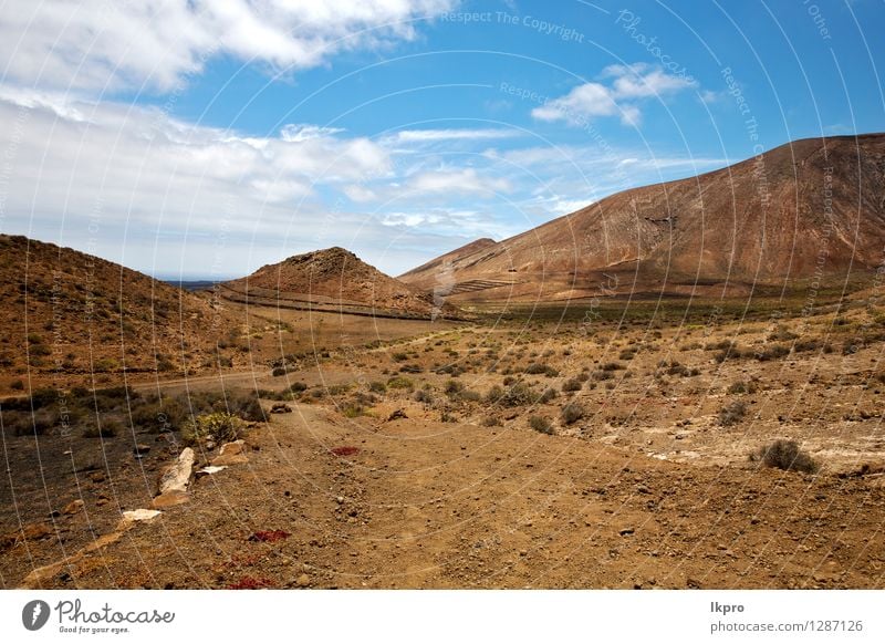 Stein Himmel Hügel und Sommer Lanzarote Spanien Ferien & Urlaub & Reisen Tourismus Ausflug Abenteuer Insel Berge u. Gebirge Natur Landschaft Pflanze Sand Wolken