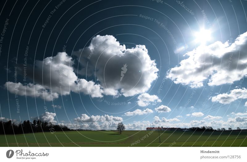 Einen Schritt aus der Menge und die Sonne genießen. Wolken Baum weiß grün rot Haus Dach Physik strahlend Weitwinkel Wiese Feld Elektrizität Strommast Frühling