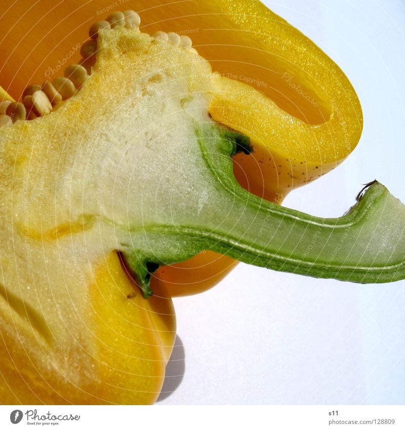 PaprikaDetail II Gesundheit Vitamin Hälfte Lebensmittel Zutaten grün gelb weiß Pflanze Ernährung Gesunde Ernährung Stengel quer Makroaufnahme Nahaufnahme Gemüse