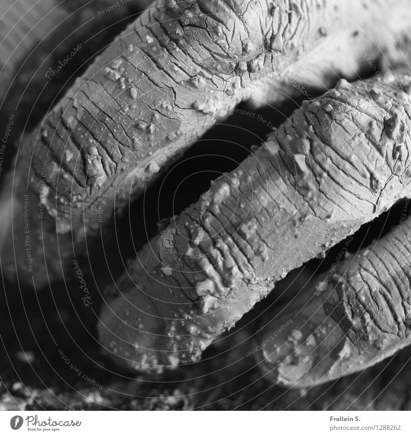 Greifen 2 maskulin Mann Erwachsene Haut Hand Finger 1 Mensch dreckig Sinnesorgane Lehm Riss Krümel trocken Haptik greifen begreifen Töpfer Schwarzweißfoto