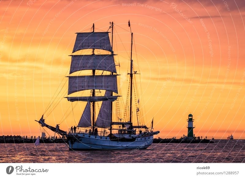 Segelschiff auf der Hansesail Erholung Ferien & Urlaub & Reisen Tourismus Segeln Wasser Wolken Ostsee Leuchtturm Schifffahrt maritim gelb rot Romantik Abenteuer