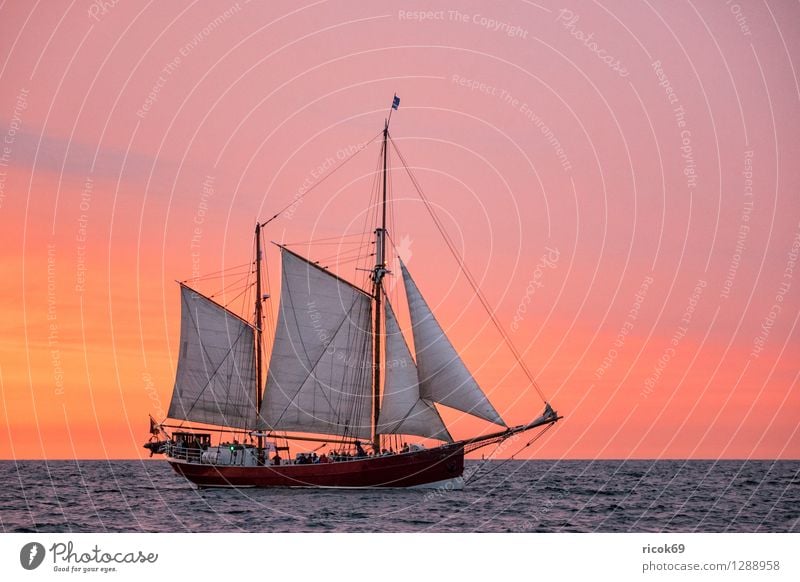 Segelschiff auf der Hansesail Erholung Ferien & Urlaub & Reisen Tourismus Segeln Wasser Wolken Ostsee Schifffahrt maritim gelb rot Romantik Idylle Windjammer
