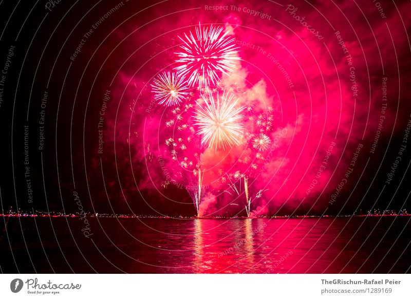 Fireworks Kunst Künstler Kunstwerk Theaterschauspiel violett rosa rot schwarz silber weiß See Wasser Reflexion & Spiegelung sternförmig Rauch Schwefel Feuer
