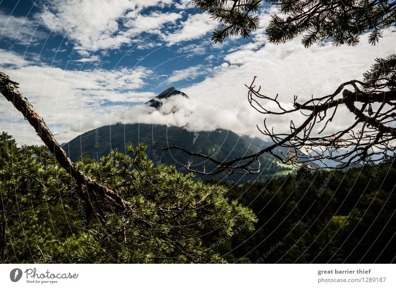 Berg in den Alpen Umwelt Natur Landschaft Tier Himmel Wolken Sonne Frühling Sommer Wetter Schönes Wetter Pflanze Baum Gipfel entdecken wandern trocken blau