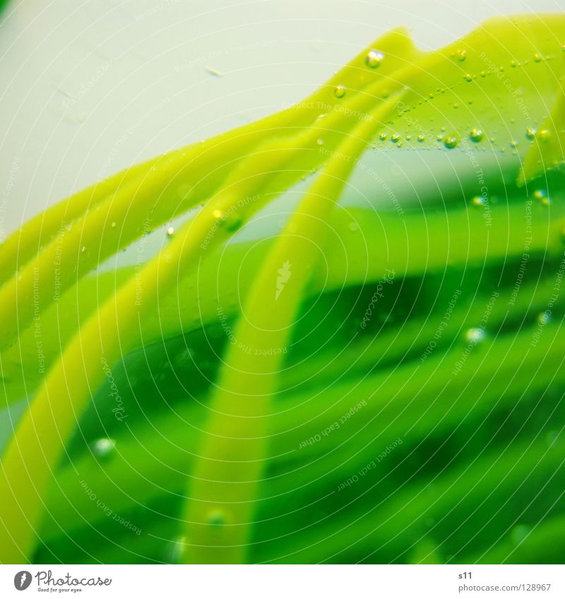 ((( Muster kreuzen gekreuzt grün gelb Licht Beleuchtung zerbrechlich Kunst Scherbe durchsichtig Luftblase schön Kunsthandwerk Dekoration & Verzierung