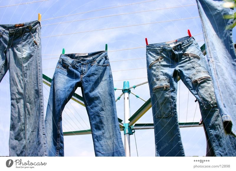 Hanging Pants Hose Wäsche hängen trocknen Wäscheleine Spinne Freizeit & Hobby Jeanshose Himmel blau Denim Wäsche waschen Waschtag