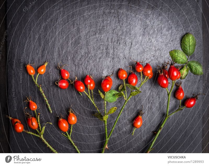 Hagebutten Früchte auf dunklem Hintergrund Lebensmittel Frucht Stil Design Gesundheit Alternativmedizin Tisch Natur Pflanze Herbst Rose Blatt Wildpflanze retro