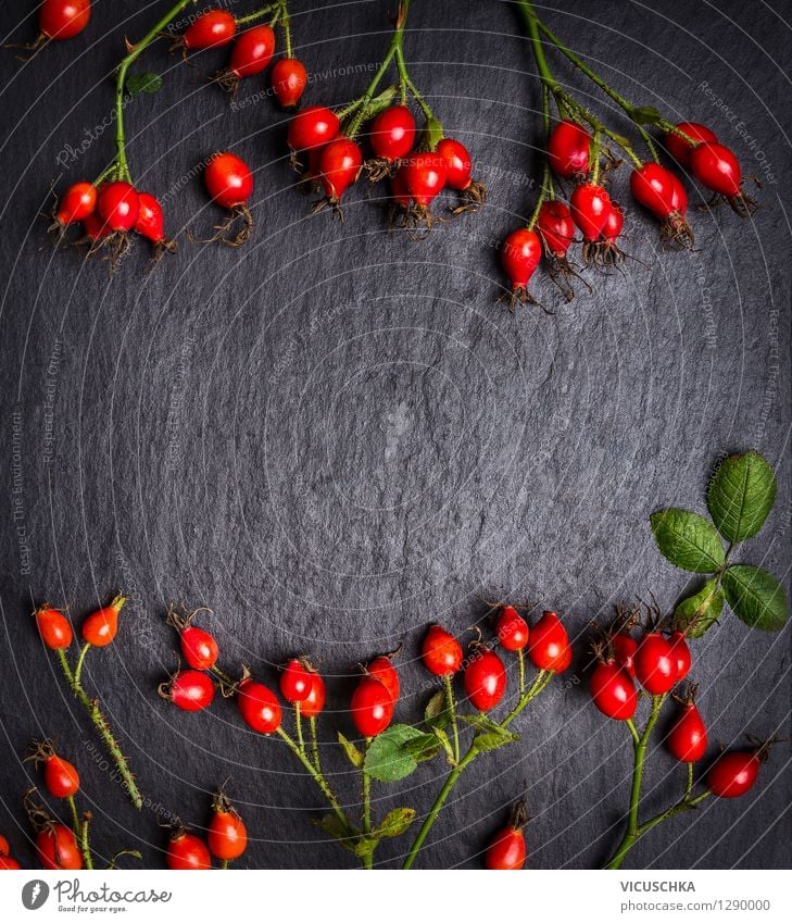 Hagebutten auf dunklem Schiefer Hintergrund, Ansicht von oben Lebensmittel Frucht Ernährung Tee Stil Design Alternativmedizin Gesunde Ernährung Kur Tisch Natur