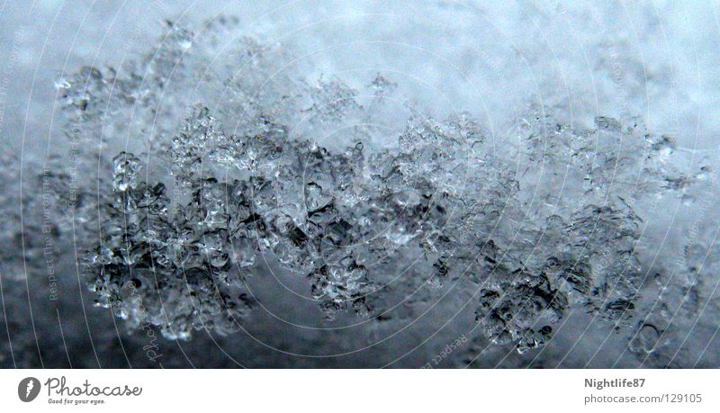 Eiskristalle weiß kalt gefroren nass Eisblumen Winter Wasser Schnee Kristallstrukturen Strukturen & Formen eisform gefrierpunkt