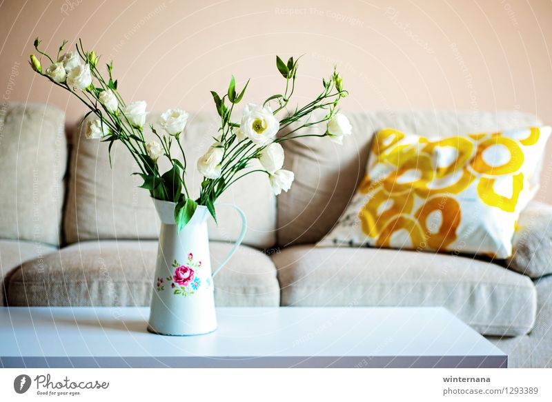 Farbe zu Hause Wohnung Innenarchitektur Dekoration & Verzierung Sofa Tisch Wohnzimmer Sommer Rose Wüste Metall elegant frisch Frieden Gelassenheit Zufriedenheit