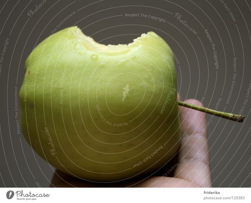 abbiss Frucht Apfel Ernährung Diät Fasten Gesundheit Wellness Kur Spa Sommer Hand Finger Natur Pflanze festhalten frisch lecker rund saftig grau grün knackig