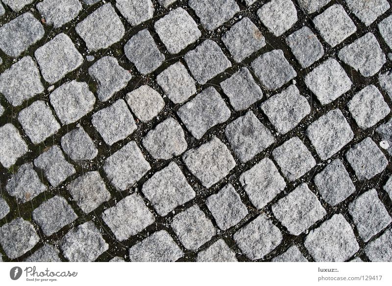 Reih und Glied Kopfsteinpflaster Parkplatz diagonal Strukturen & Formen Quadrat grau Granit hart Naturstein Fußgängerzone Rauchen verboten Mosaik verlegen