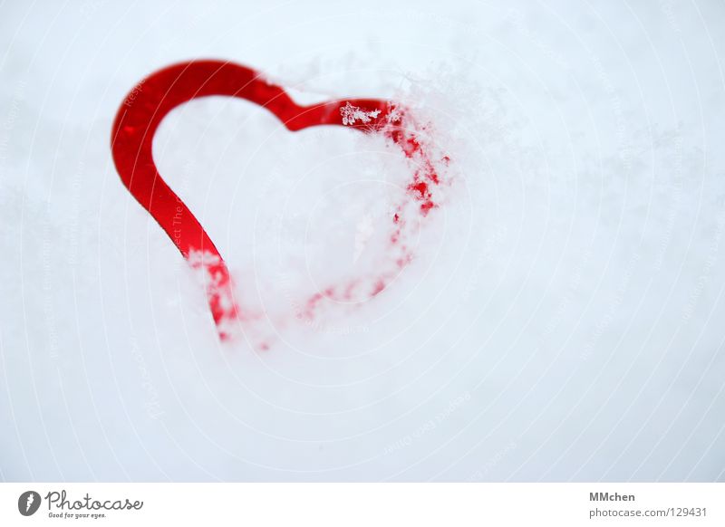 Herz aus Eis kalt Winter erfrieren vergangen herzlos verpackt rot weiß Liebe Schnee Kristallstrukturen erkaltet entliebt verstecken