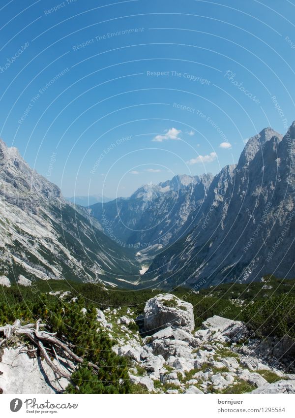 Reintal Sommer Sommerurlaub Berge u. Gebirge wandern Umwelt Natur Landschaft Pflanze Luft Himmel Wolken Schönes Wetter Baum Alpen Gipfel blau grau grün