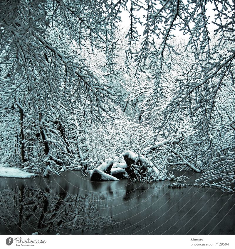 Ersatzwinter weiß Winter See gefroren kalt Reflexion & Spiegelung Schnee Frost Eis