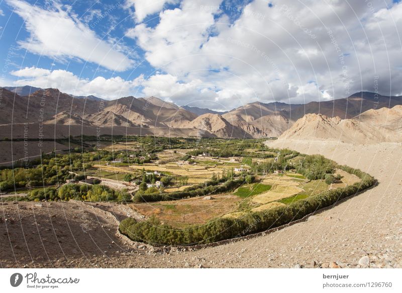 Lehnsucht Umwelt Landschaft Erde Wolken Sommer Schönes Wetter Gipfel blau braun Ehrlichkeit Ladakh Indien Nordindien Himalaya Berge u. Gebirge Bewässerung