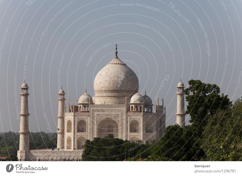 Taj Kunst Kunstwerk Architektur Bauwerk Sehenswürdigkeit Wahrzeichen Denkmal Bekanntheit weiß Liebe ästhetisch Ferien & Urlaub & Reisen Taj Mahal Agra Indien