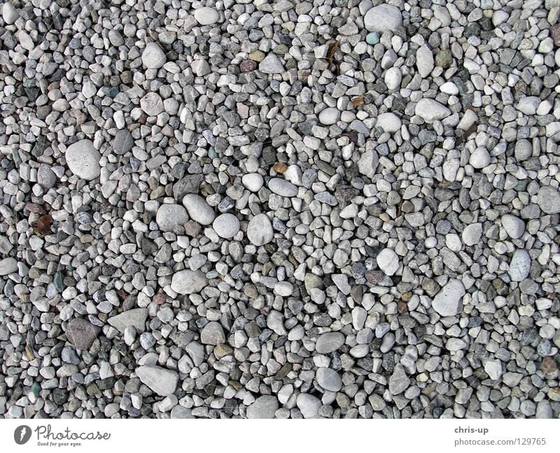 Kies Textur Kieselsteine Hintergrundbild Strukturen & Formen Korn Sandkorn weiß braun grau schwarz Strand Steinboden Erde Makroaufnahme Nahaufnahme Mineralien