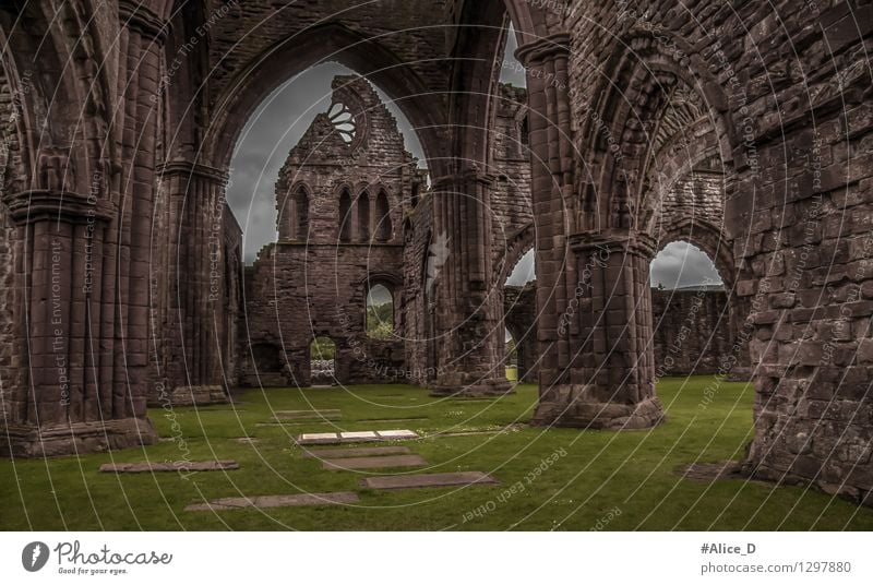 Sweetheart Abbey Architektur New Abbey Schottland Europa Dorf Kirche Ruine Kathedrale Sehenswürdigkeit Stein dunkel Glaube Endzeitstimmung "monument historisch