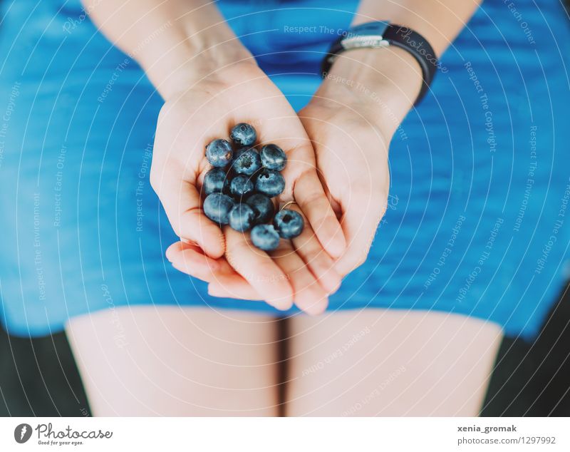 Blaubeeren Lebensmittel Frucht Ernährung Bioprodukte Vegetarische Ernährung Diät Gesundheit Behandlung Gesunde Ernährung sportlich Fitness Wellness harmonisch
