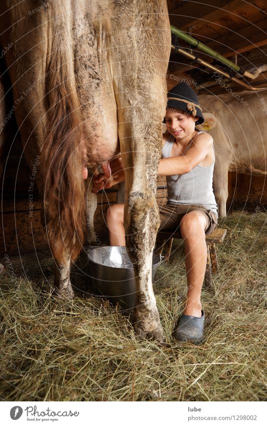 Melker Lebensmittel Milch Landwirtschaft Forstwirtschaft Junge 1 Mensch 8-13 Jahre Kind Kindheit Tier Haustier Nutztier Kuh Arbeit & Erwerbstätigkeit bauer