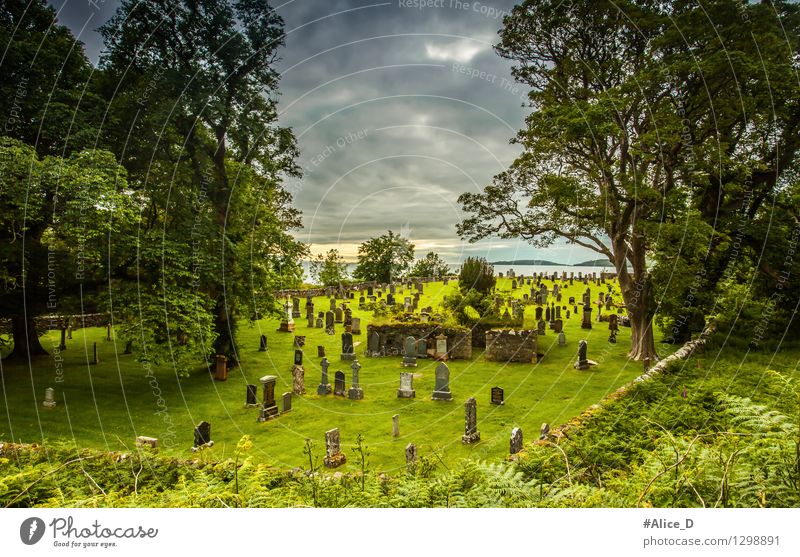 Alter schottischer Friedhof Kultur Natur Landschaft Wolken Gewitterwolken Pflanze Baum Gras Sträucher Moos Farn Gairloch Schottland Europa Dorf Ruine Park Mauer