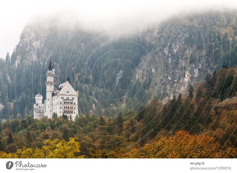 Fernblick Ferien & Urlaub & Reisen Tourismus Ausflug Ferne Sightseeing Sommerurlaub Berge u. Gebirge Natur Landschaft Herbst Klima schlechtes Wetter Nebel Wald