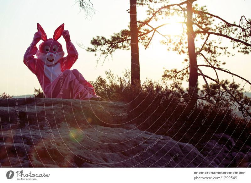 Lauscher auf! Kunst Kunstwerk ästhetisch Hase & Kaninchen Hasenohren Hasenjagd Hasenpfote hören Ohr rosa Kostüm Karnevalskostüm Felsen Surrealismus