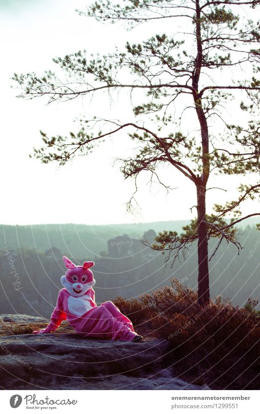 Hase mit Höhenangst Kunst Kunstwerk ästhetisch Hase & Kaninchen Hasenohren Hasenjagd Hasenzahn Hasenpfote Umweltschutz Naturschutzgebiet Sächsische Schweiz