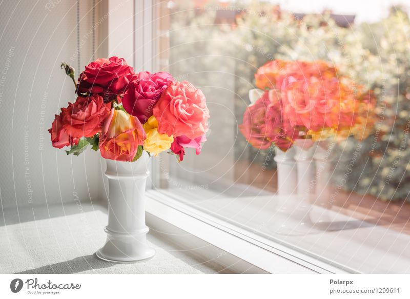 Blumenstrauß aus Rosen in einem Fenster elegant Design schön Sommer Haus Dekoration & Verzierung Tisch Feste & Feiern Valentinstag Mutter Erwachsene Natur