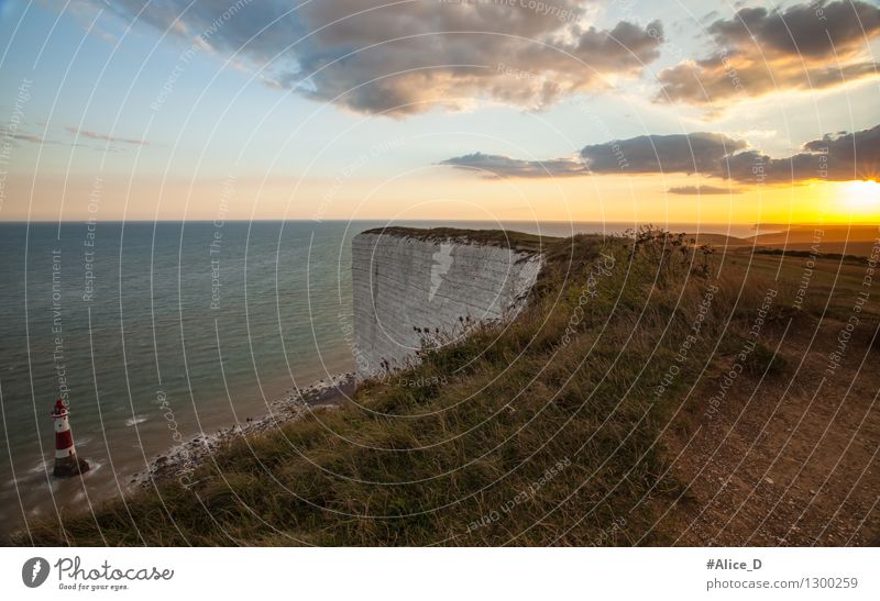 Kreidefelsen Küste Seven Sisters Cliffs Meer wandern Umwelt Natur Landschaft Urelemente Wasser Wolken Gras Sussex Großbritannien Europa Leuchtturm
