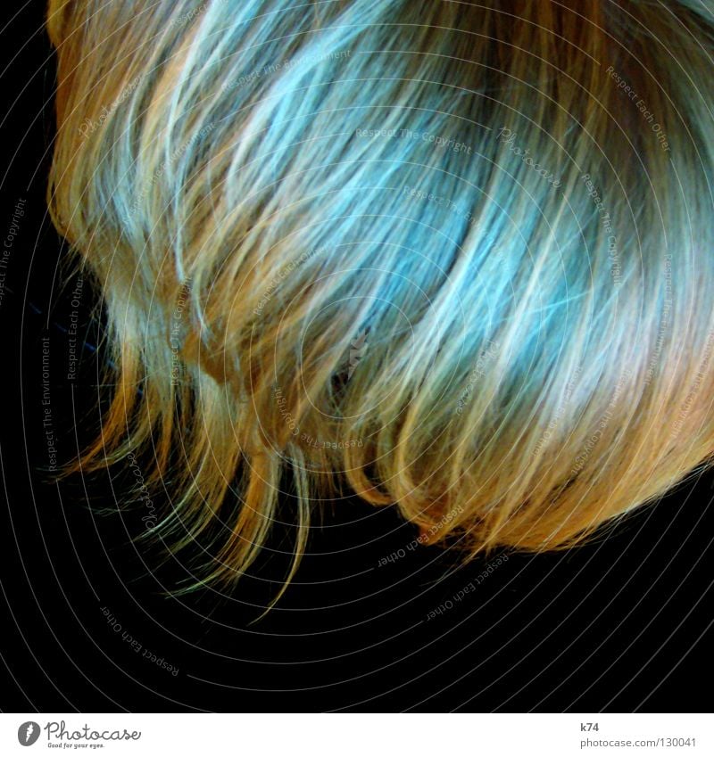 HAIR Haarsträhne Locken Wellen blond Haarwaschmittel Haare & Frisuren grün geschnitten glänzend schwarz Mensch Kopf blau Friseur Spitze Kamm Haarpflege