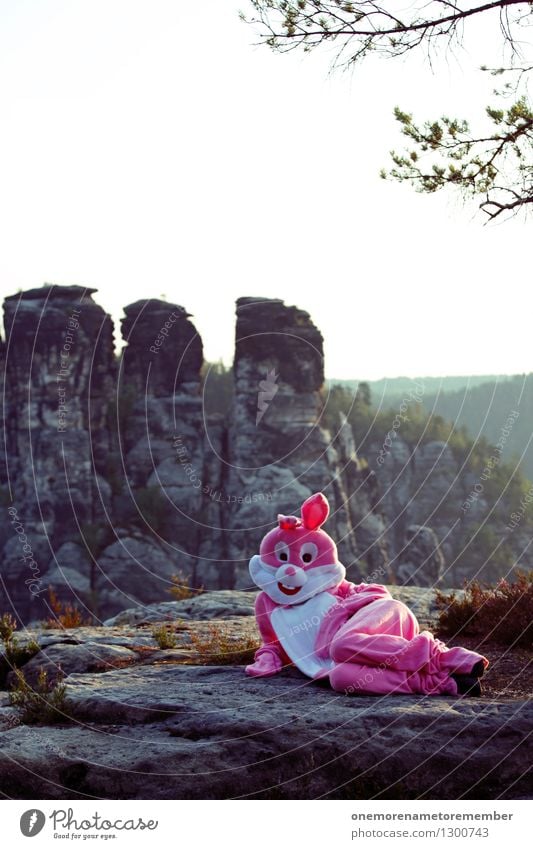 Lazzy Bunny Kunst Kunstwerk ästhetisch Hase & Kaninchen Hasenohren Hasenjagd Hasenbraten Hasenzahn Hasenpfote rosa Felsen Sächsische Schweiz liegen