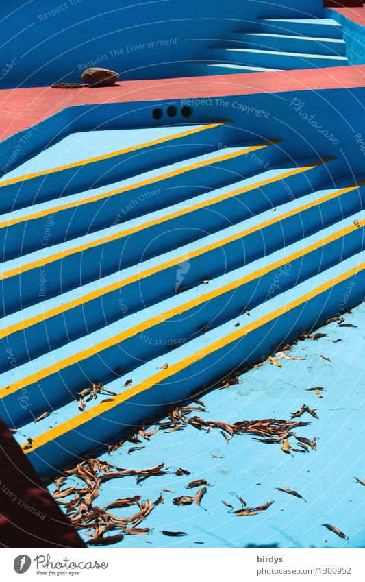 trockene Treppelei Schwimmbad außergewöhnlich blau gelb rot bizarr Farbe Krise Wandel & Veränderung Wege & Pfade graphisch Herbstlaub Dürre Farbfoto mehrfarbig