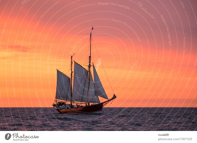 Segelschiff auf der Hanse Sail Erholung Ferien & Urlaub & Reisen Tourismus Segeln Wasser Wolken Ostsee Schifffahrt maritim gelb rot Romantik Idylle Tradition