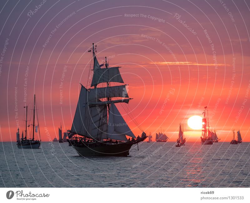 Segelschiffe auf der Hanse Sail Erholung Ferien & Urlaub & Reisen Tourismus Segeln Wasser Wolken Ostsee Schifffahrt maritim gelb rot Romantik Idylle Tradition