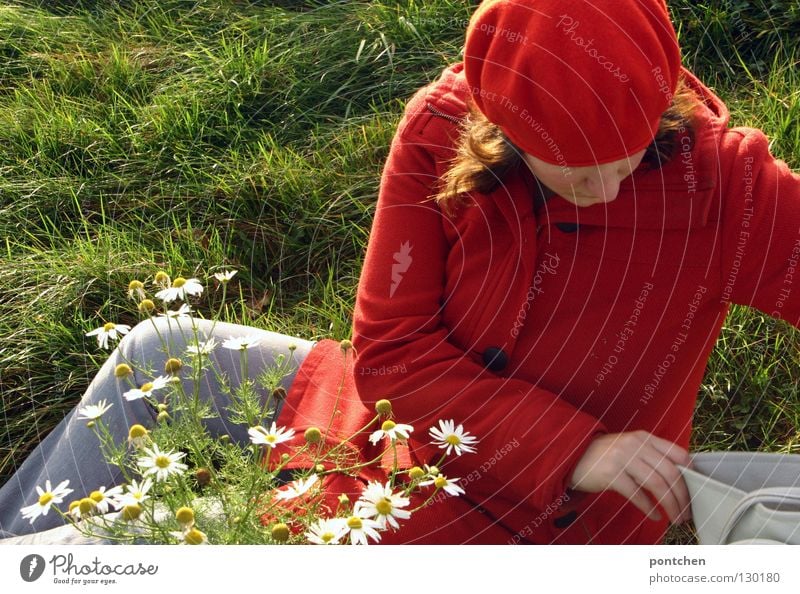 In rot gekleidete Frau sitzt auf einer Wiese und  sucht etwas in ihrer Handtasche Wegsehen Ausflug Erwachsene Finger Schönes Wetter Blume Bekleidung Hose Mantel