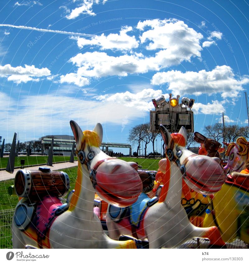 GRIN Jahrmarkt Karussell Spielen Pferd Fass mehrfarbig Park grinsen Freude lachen Beleuchtung Rasen Reitsport freaky Kindheit Sattel