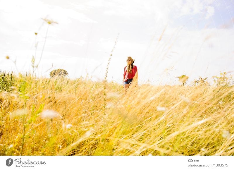 Dem Sommer entgegen Lifestyle elegant Stil feminin Junge Frau Jugendliche 18-30 Jahre Erwachsene Natur Landschaft Sonnenfinsternis Schönes Wetter Gras Wiese