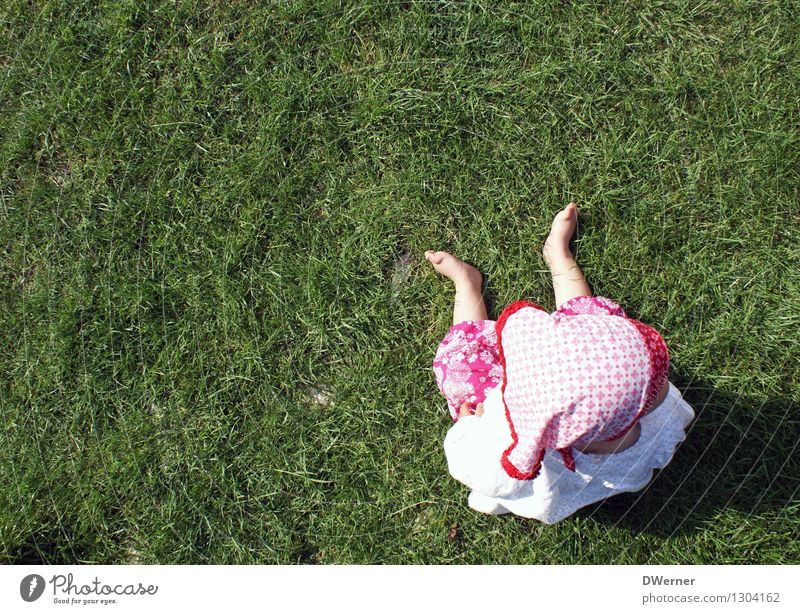 Rotkäppchen Freizeit & Hobby Sommer Kindererziehung Kindergarten lernen Mensch Kleinkind Mädchen 1 1-3 Jahre Umwelt Natur Schönes Wetter Gras Wiese Kleid
