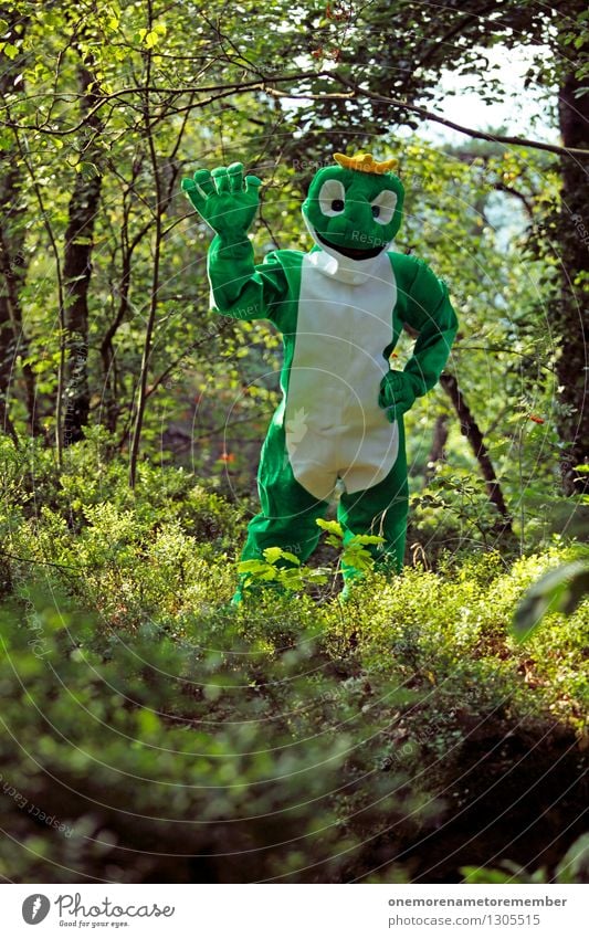 Hee Kunst Kunstwerk ästhetisch Frosch Froschperspektive Froschkönig Froschauge Froschschenkel Wald grün Tarnung winken Gruß Hallo Kostüm Karnevalskostüm
