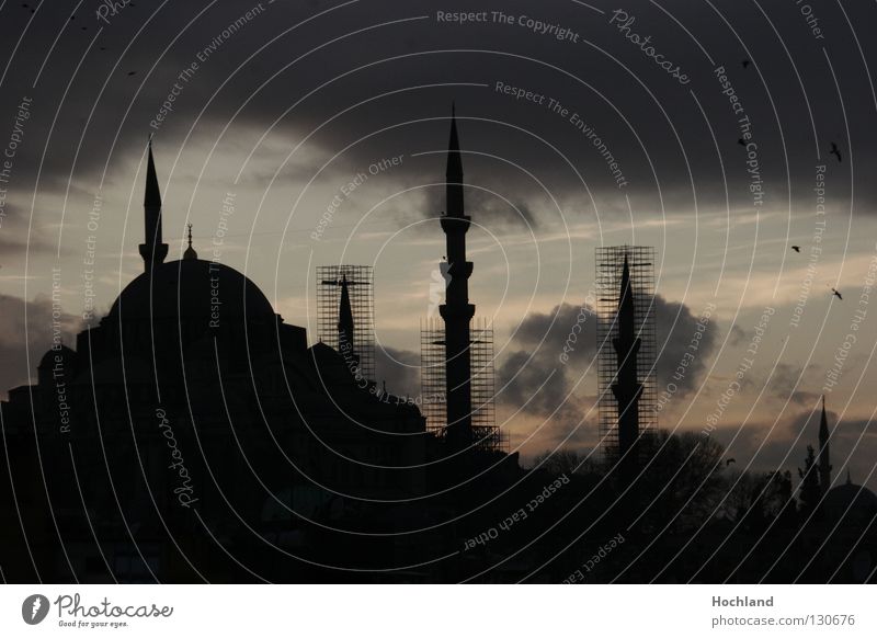 Moschee am Abend, Islam im Aufbruch Istanbul Minarett Kuppeldach Gebet Wolken Abenddämmerung Nacht Allah Türkei Bosporus Basar Goldenes Horn Vogel Stadt Moslem